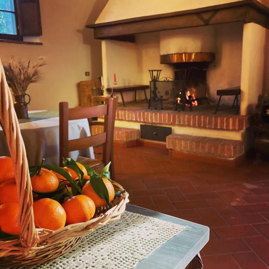Podere La Chiusella B&B Rapolano Terme Dış mekan fotoğraf