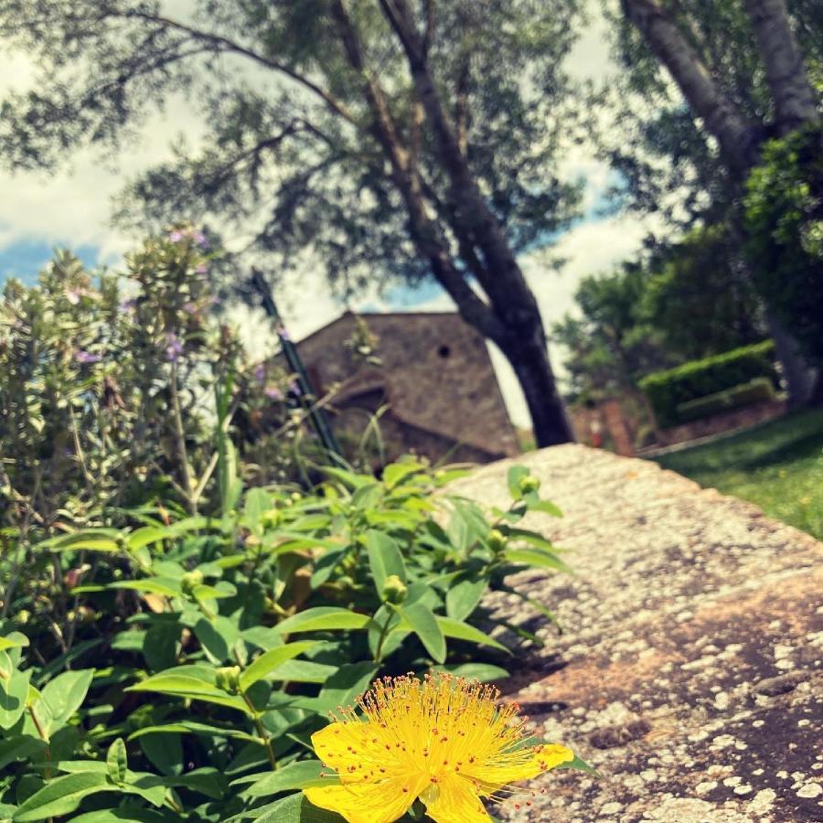 Podere La Chiusella B&B Rapolano Terme Dış mekan fotoğraf