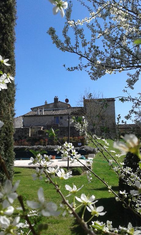Podere La Chiusella B&B Rapolano Terme Dış mekan fotoğraf